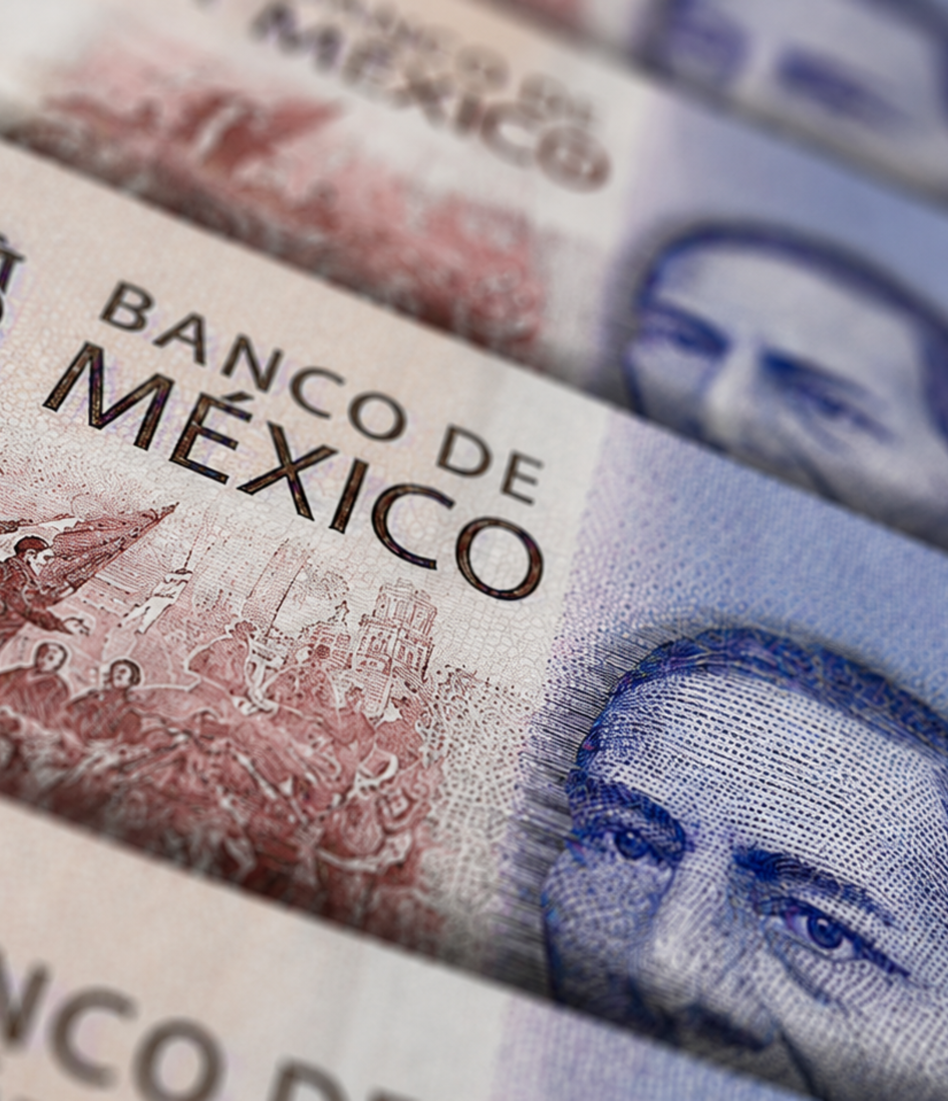 Ahorro e inversión